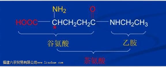 Ϊʲô�Ȳ����������������