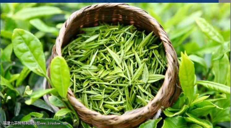 ��ɽë���Ĺ�Ч������