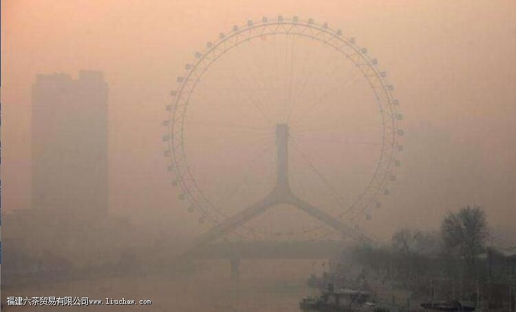 雾霾天,别忘了喝白茶 雾霾天,别忘了喝白茶