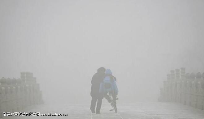 雾霾天,别忘了喝白茶 雾霾天,别忘了喝白茶