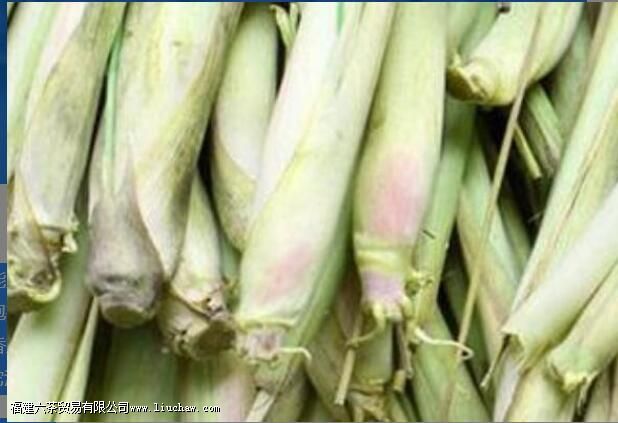 ��é���ݲ�Ĺ�Ч������