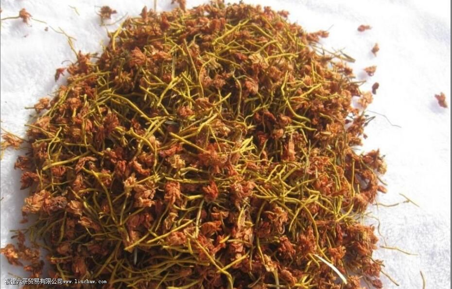 雪山黄龙茶的功效与作用 雪山黄龙茶的功效与作用