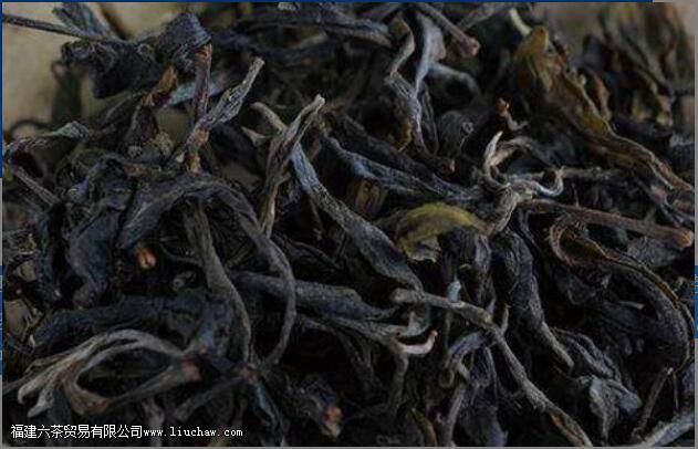 野生乔木茶的功效与作用 野生乔木茶的功效与作用