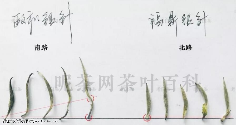 ����ײ�Ĺ�Ч������