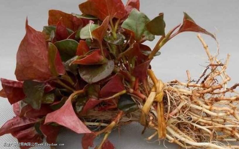 ���Ȳ���ˮ����ʲô���ܺ�ע��ʲô