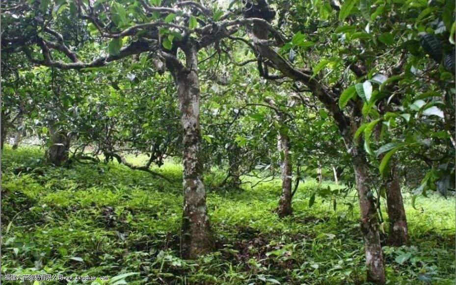 ���ֹ������Ĺ�Ч������