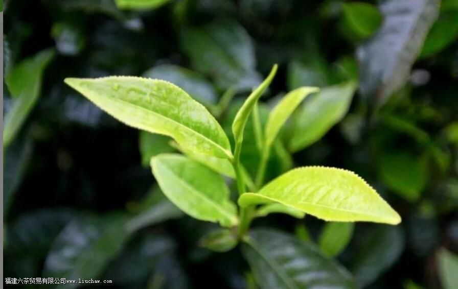 ��ˮ��ʲô��