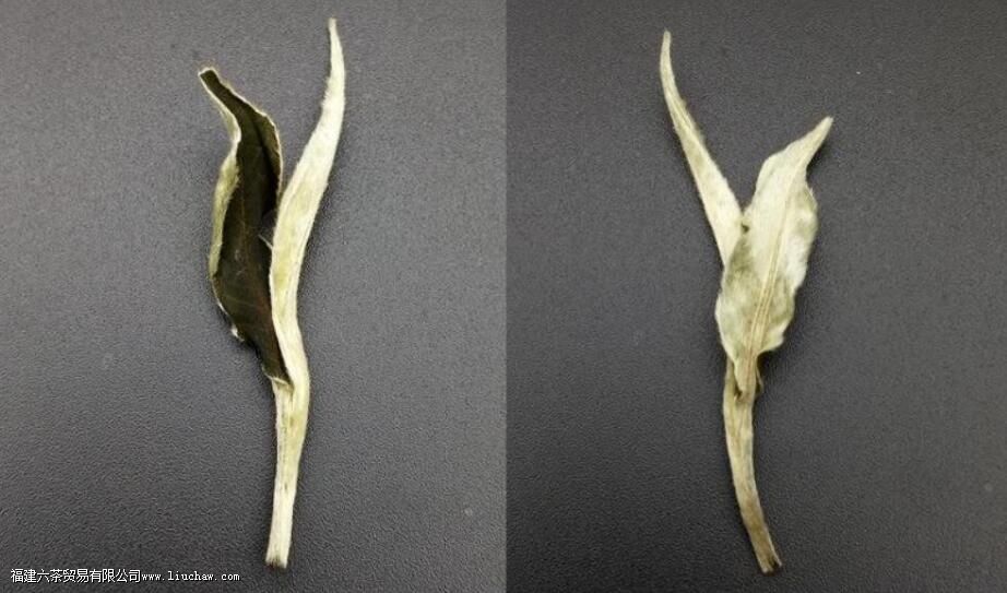 �¹�ײ�Ĺ�Ч