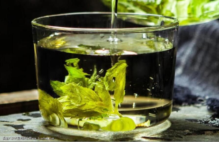 枣树叶泡水喝的功效与作用 枣树叶泡水喝的功效与作用