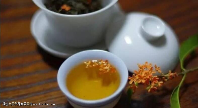 ���ڻҳ����ʲô�����