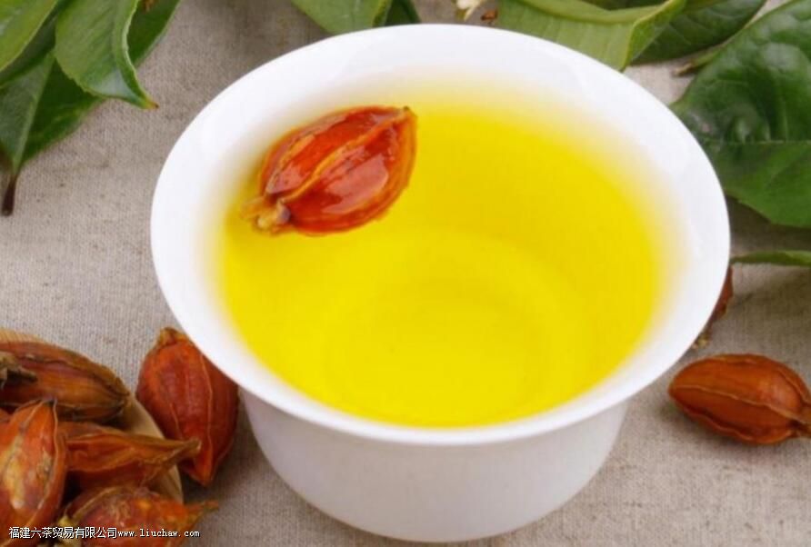 栀子花花茶的功效与作用及禁忌 栀子花花茶的功效与作用及禁忌