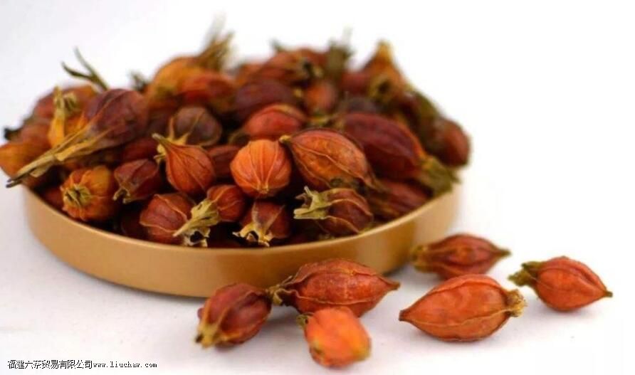 ���Ӿ��Ĳ�Ĺ�Ч