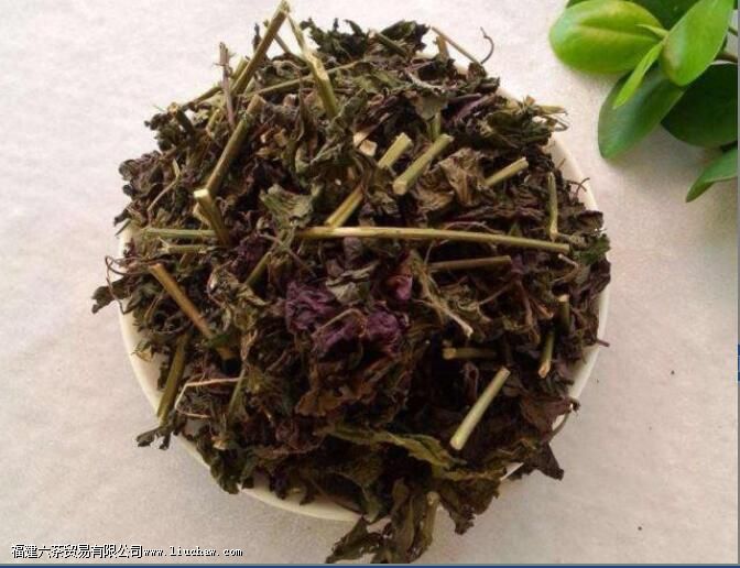 紫苏的功效与作用 紫苏的功效与作用