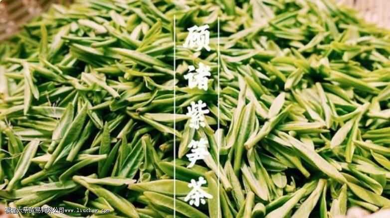 紫笋茶适合什么人喝 紫笋茶适合什么人喝