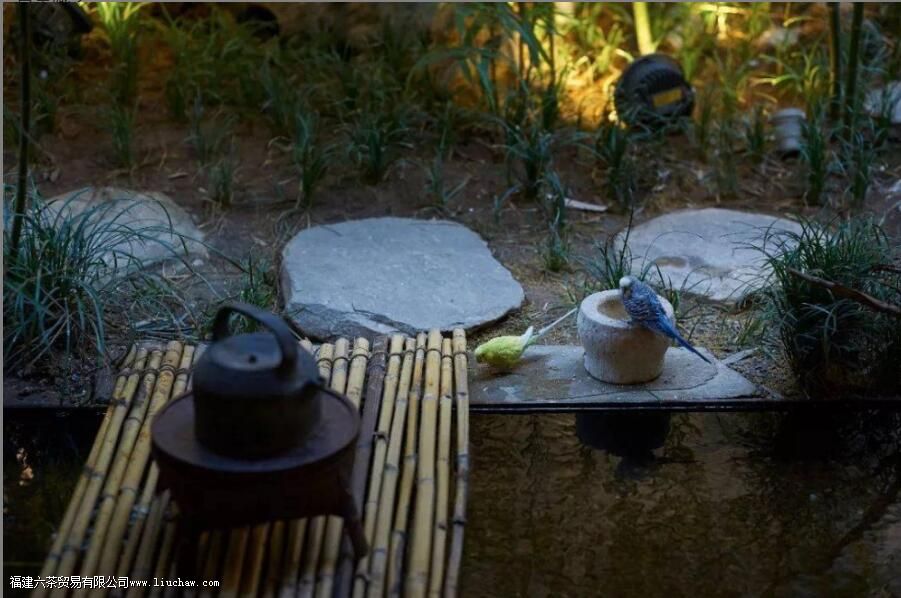 7��С���ɣ����ϺȲ費�õ���˯����