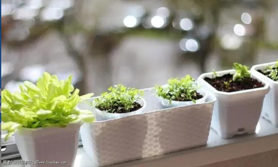 12����������׵����ã��ݹ��Ĳ�Ҷ��������������