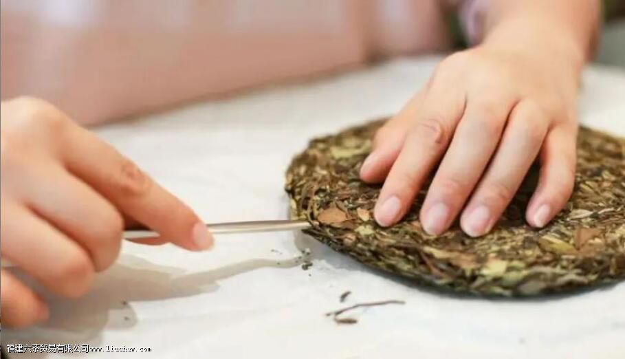 100�˲���ߴ��Ƕ���