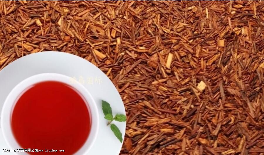 rooibos��ʲô��