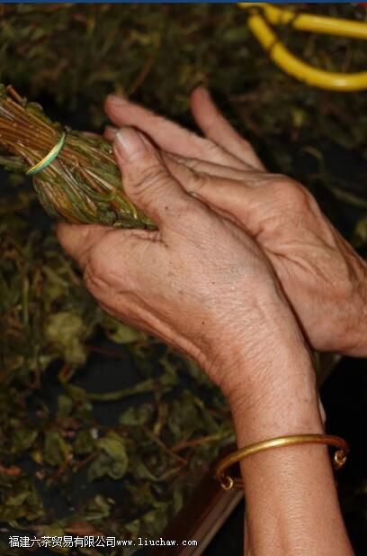 八角亭龙须茶是什么茶 八角亭龙须茶是什么茶