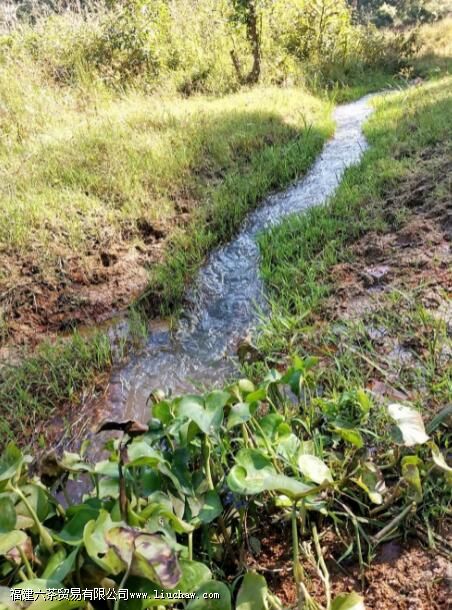 �������ʲô�ص�