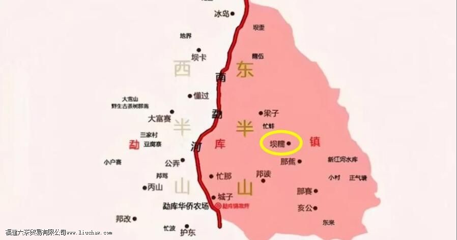 坝糯藤条茶介绍 坝糯藤条茶介绍