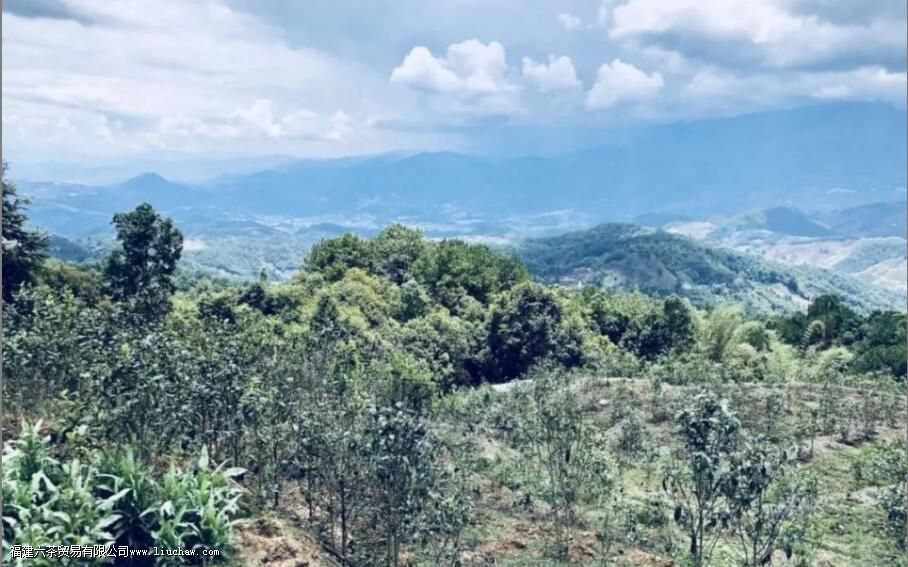 ��Ŵ��������ʲô�裬��ʲô�ص�