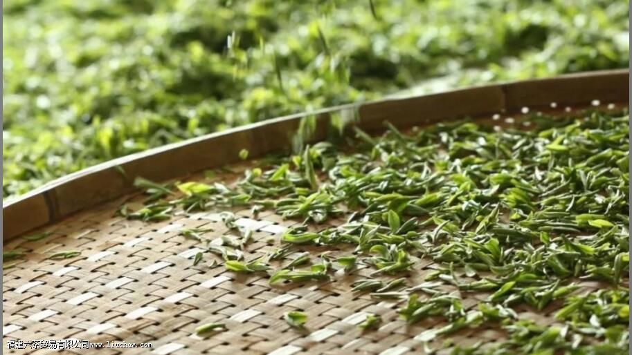 白茶,中国茶里的极简主义 白茶,中国茶里的极简主义