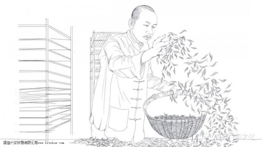 白茶,中国茶里的极简主义 白茶,中国茶里的极简主义