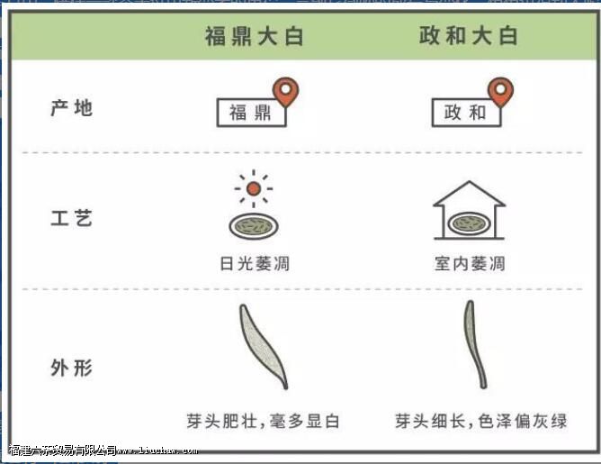 白茶,中国茶里的极简主义 白茶,中国茶里的极简主义