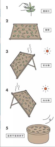 白茶,中国茶里的极简主义 白茶,中国茶里的极简主义