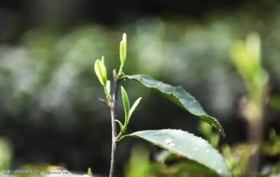 �ײ��ʮ����ָ����ʲô