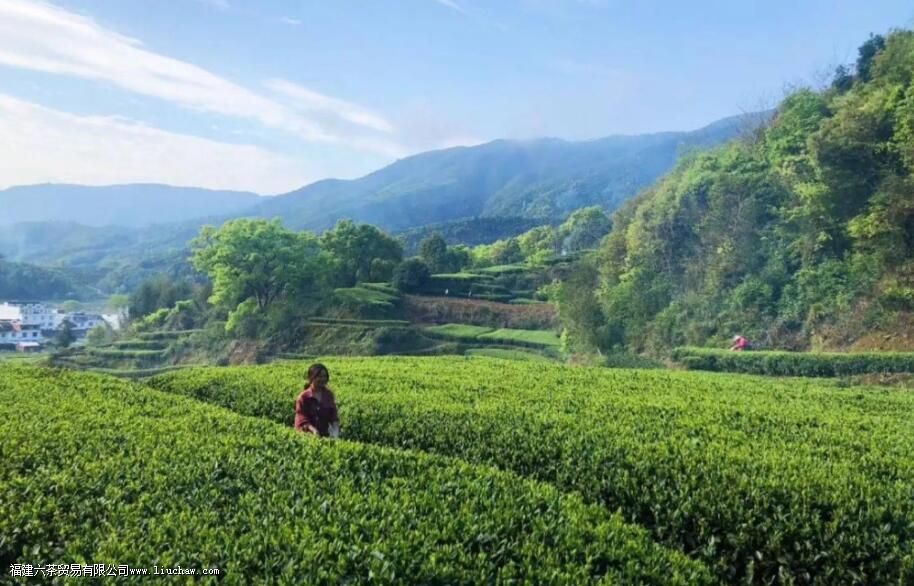 �ײ��ʮ����ָ����ʲô