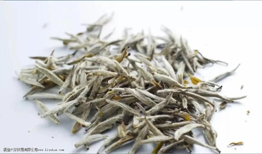 �ײ��ʮ����ָ����ʲô