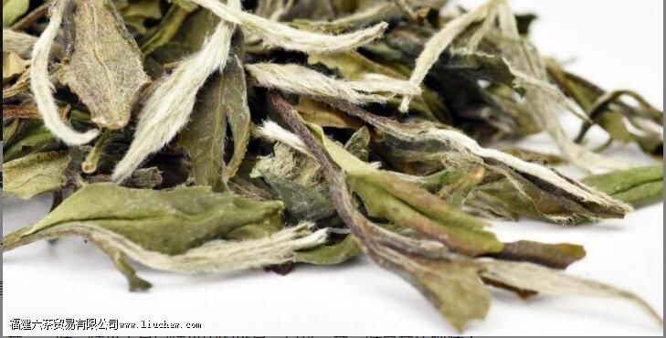 �ײ��������������