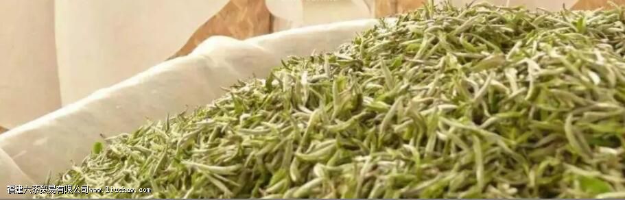 �ײ��������������