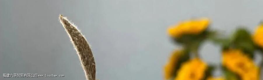 �ײ���ϰײ���ʲô����