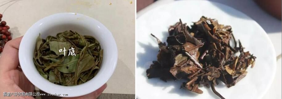 �ײ���ϰײ���ʲô����