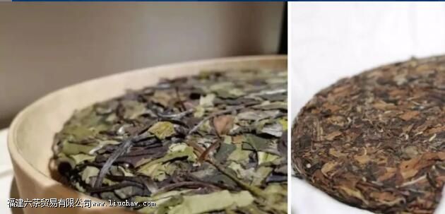 �ײ���ϰײ���ʲô����