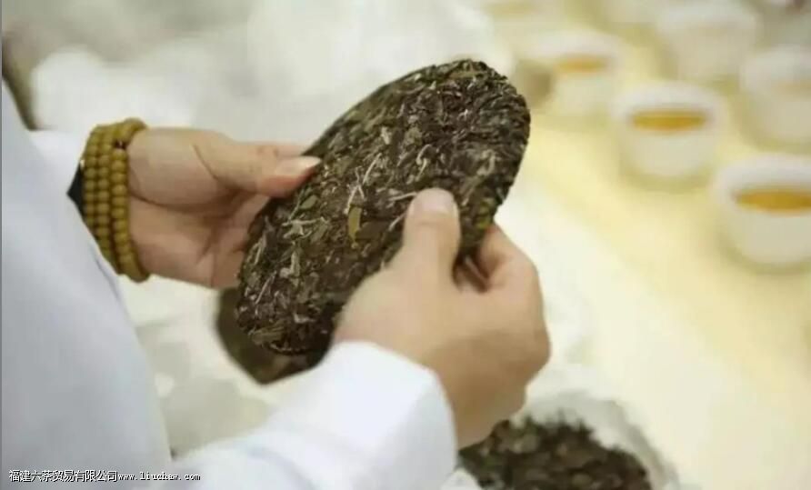 白茶紧压茶执行的标准是什么 白茶紧压茶执行的标准是什么