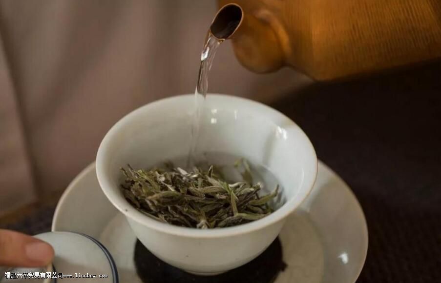 白茶什么季节喝比较适合 白茶什么季节喝比较适合