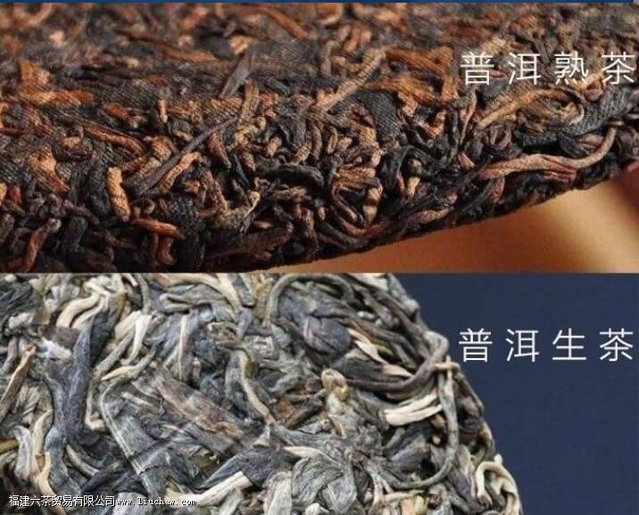 白茶是生茶还是熟茶啊 白茶是生茶还是熟茶啊