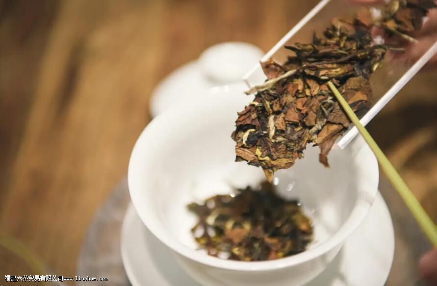 白茶是生茶还是熟茶啊 白茶是生茶还是熟茶啊