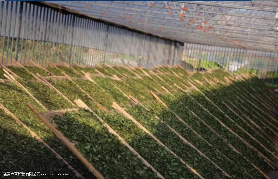 �ײ��ʺ�Ů�˺���