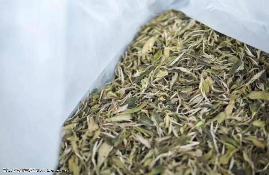 �ײ��ʺ�Ů�˺���