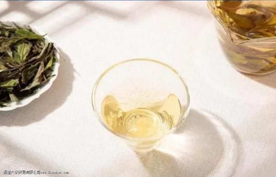 °×²èΪʲôÕâôºÃºÈ °×²èΪʲôÕâôºÃºÈ