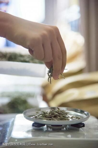 白茶闻香的正确姿势与方法 白茶闻香的正确姿势与方法