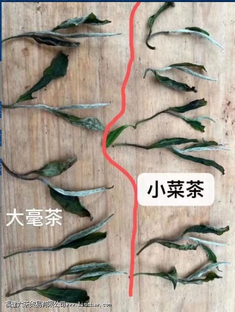 �ײ��еĹ�ü������ʲô������ü�Ͱ�ĵ���������