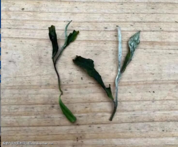 �ײ��еĹ�ü������ʲô������ü�Ͱ�ĵ���������