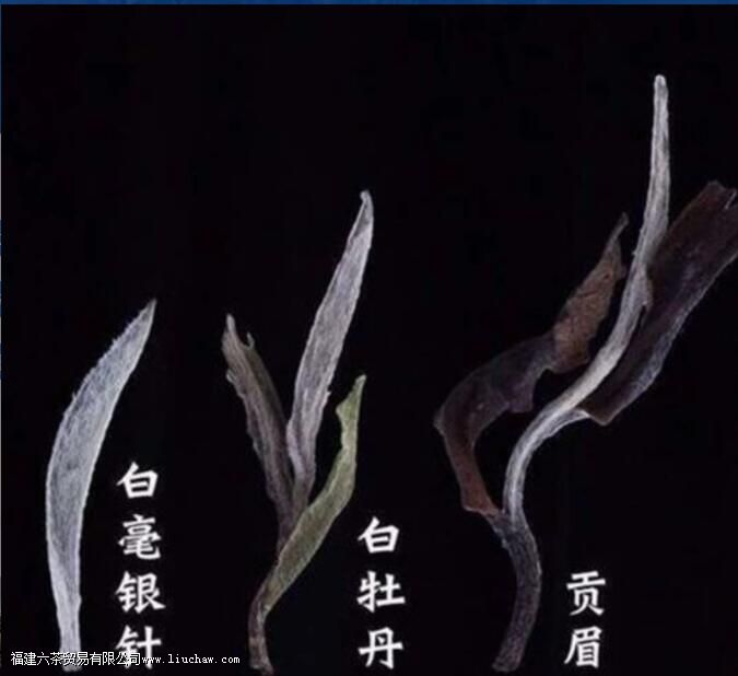 �ײ��еĹ�ü������ʲô������ü�Ͱ�ĵ���������