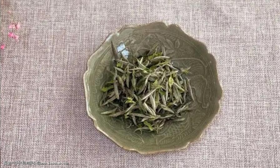 ��ĵ��������ʲô����